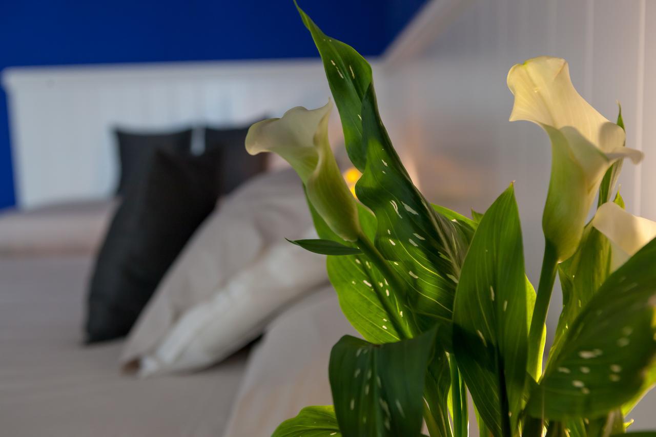 Hotel Maximilian Μπαρντολίνο Εξωτερικό φωτογραφία
